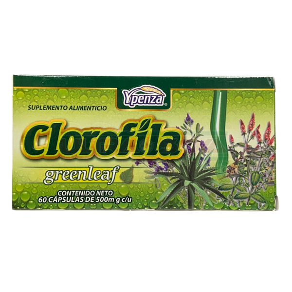 CLOROFILA GREEN LEAF C/60